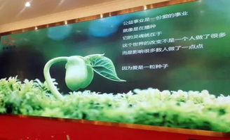 以刀為筆，以玉載道 福建省寶協(xié)玉石雕刻專業(yè)委員會(huì)藝術(shù)公益之路