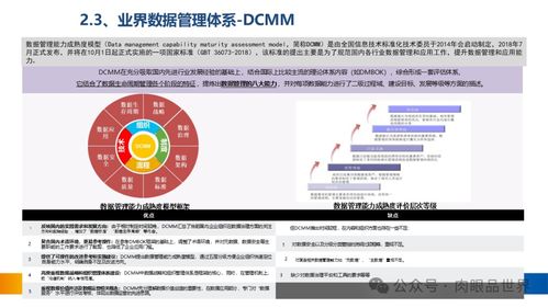 XX集團數據治理體系建設方案 網絡投資管理專篇